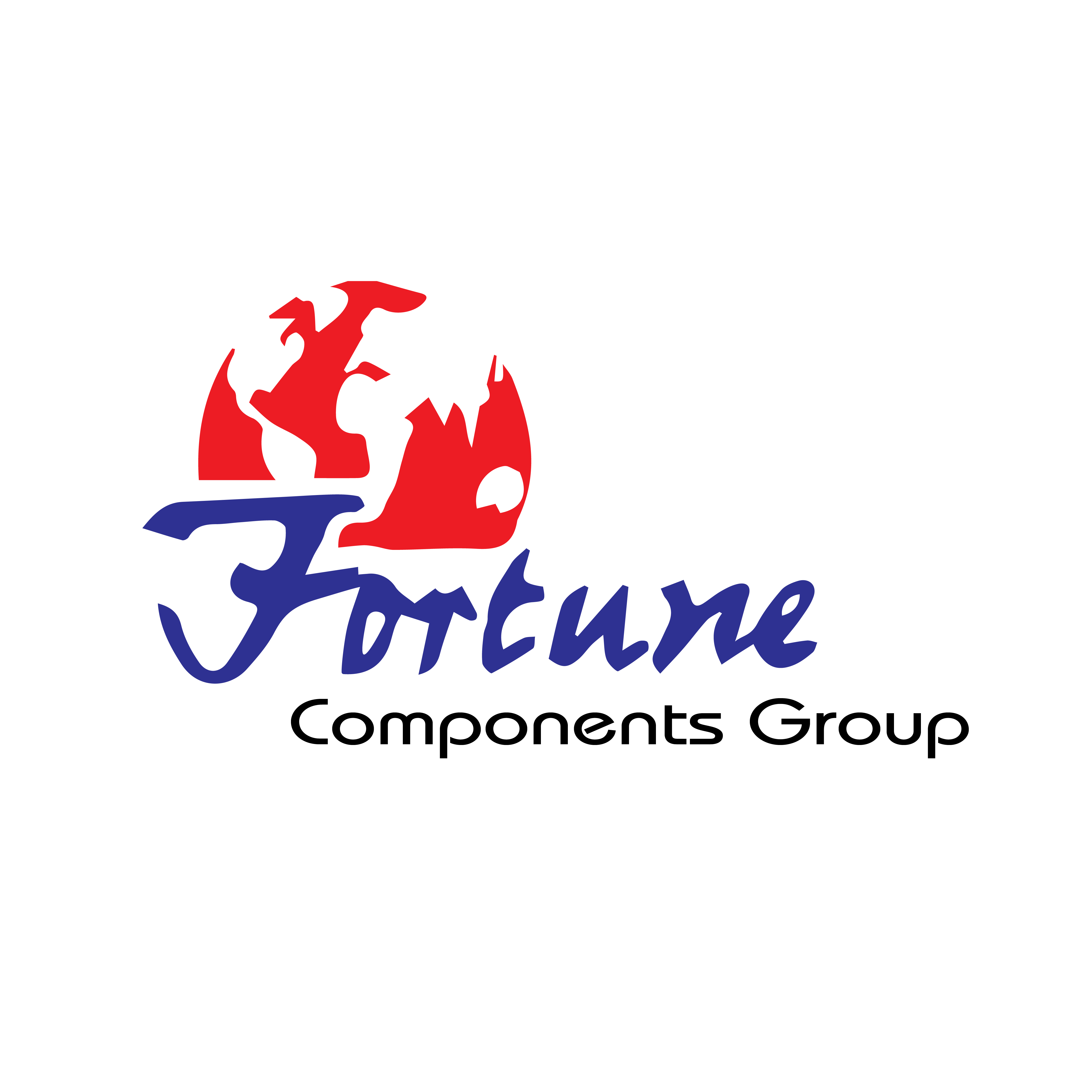 Fortune TechnoComps